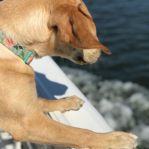 Meet your Posher, Heather - Picture 7 of 8